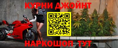 гидра Заволжье