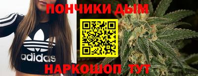 гидра Заволжье