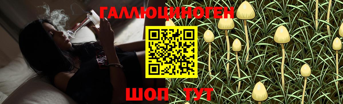 Кулебаки  Псилоцибиновые грибы Magic Shrooms  Псилоцибиновые грибы Cubensis  Вход с VPN 